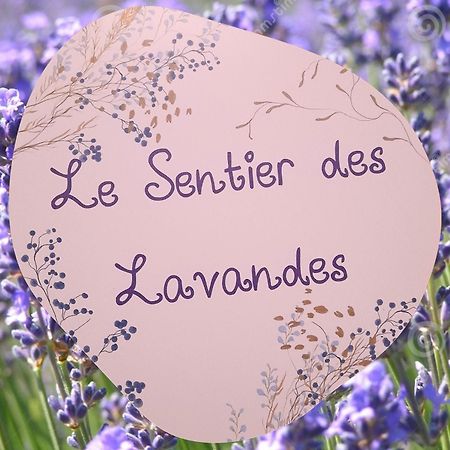 Le Sentier Des Lavandes Vresse-sur-Semois Eksteriør billede