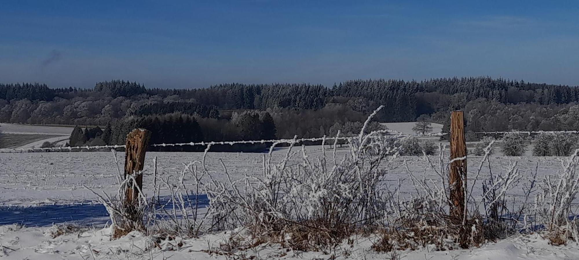 Le Sentier Des Lavandes Vresse-sur-Semois Eksteriør billede