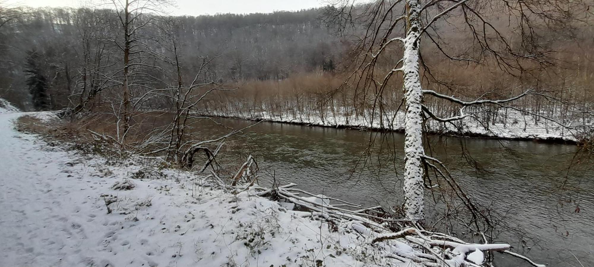 Le Sentier Des Lavandes Vresse-sur-Semois Eksteriør billede