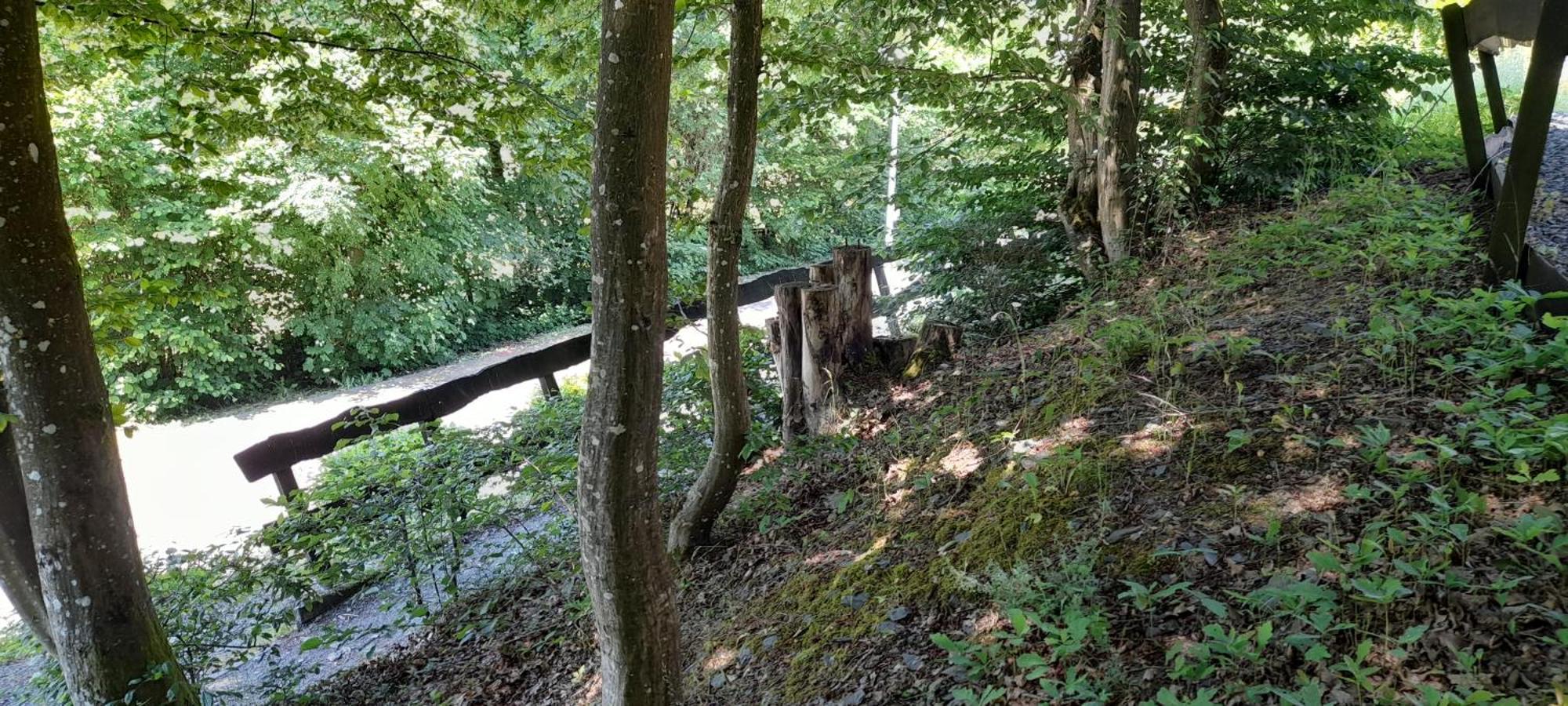 Le Sentier Des Lavandes Vresse-sur-Semois Eksteriør billede