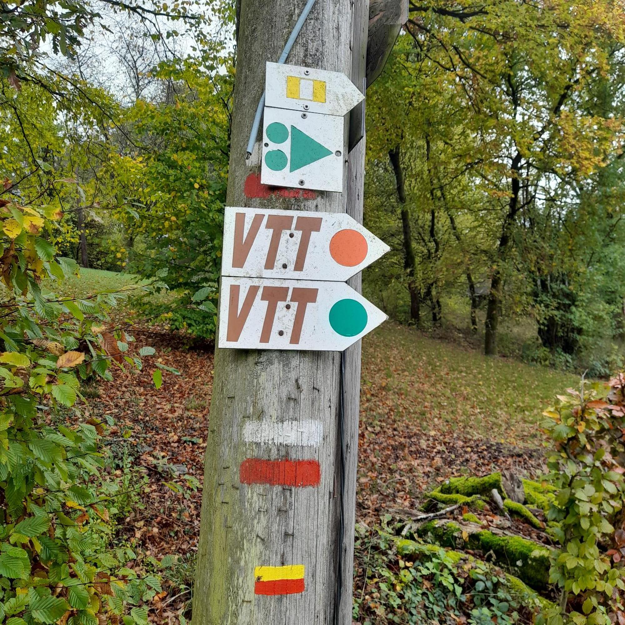 Le Sentier Des Lavandes Vresse-sur-Semois Eksteriør billede