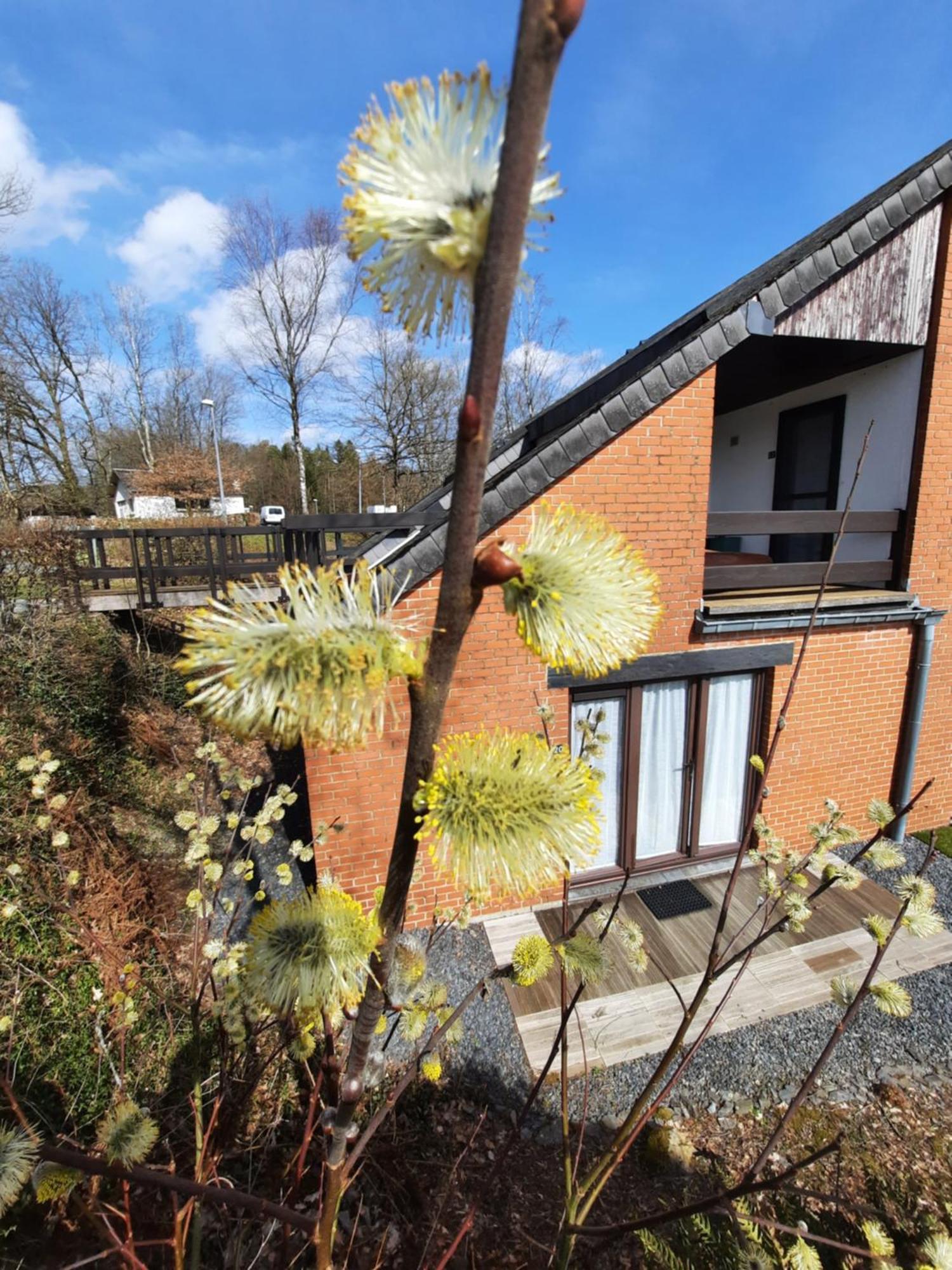 Le Sentier Des Lavandes Vresse-sur-Semois Eksteriør billede